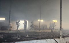 Tűz ütött ki egy farmon – Több mint 50 tonna gabona semmisült meg (VIDEÓ)