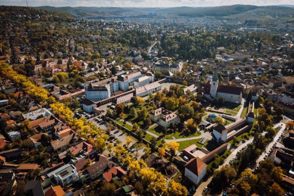 Bár elvileg tiltják, mégis tele van fenyőfákkal Marosvásárhely