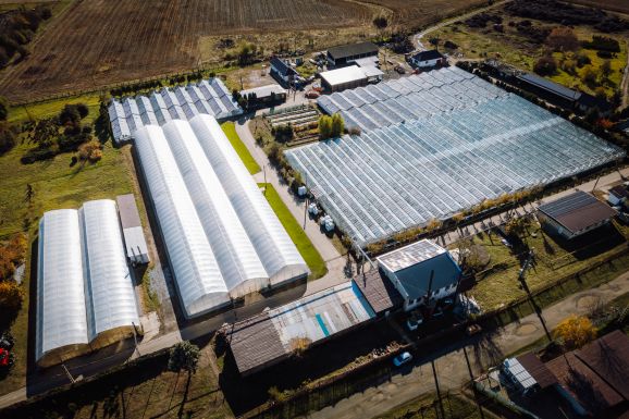 Napelemes rendszerrel és megújult kutyamenhellyel bővült a marosvásárhelyi Városi Kertészet