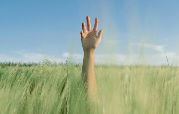 Jelenleg Románia az EU legnagyobb búzaexportőre – Ki taszíthatja le a „trónról”?