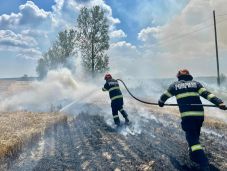 Több mint 8500 bozót- és tarlótüzet oltottak a tűzoltók a nyáron