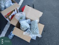 „Fű” a román kisbusz csomagterében – Lecsaptak a magyar pénzügyőrök (VIDEÓ)