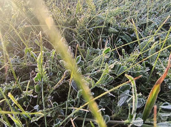 Mínusz 6,4 Celsius-fok Csíkszeredában - ez volt az ország leghidegebb pontja