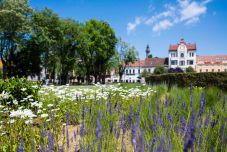 Második lett Szatmárnémeti az Európai Virágos Városok és Falvak versenyén