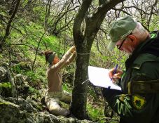 Egyhavi bért kapnak bónuszként a nyugdíjba vonuló Romsilva-alkalmazottak