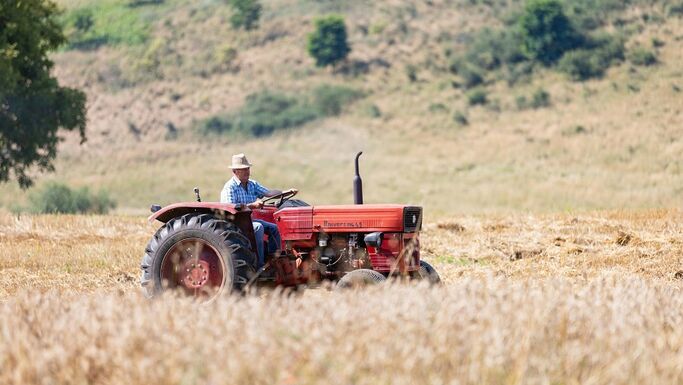 Szakértők: „Ennél rosszabb már nem lehet” – Nehéz év előtt a gazdák