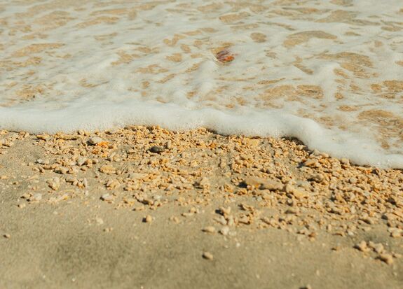 Dróndarabokat találtak a tengerparton