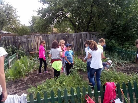 Elindult a Hargita megyei Kiskertész Program veteményezési szezonja