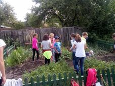 Elindult a Hargita megyei Kiskertész Program veteményezési szezonja