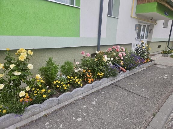 Idén is folytatódik a csíkszeredai környezetszépítő mozgalom – Lehet jelentkezni!