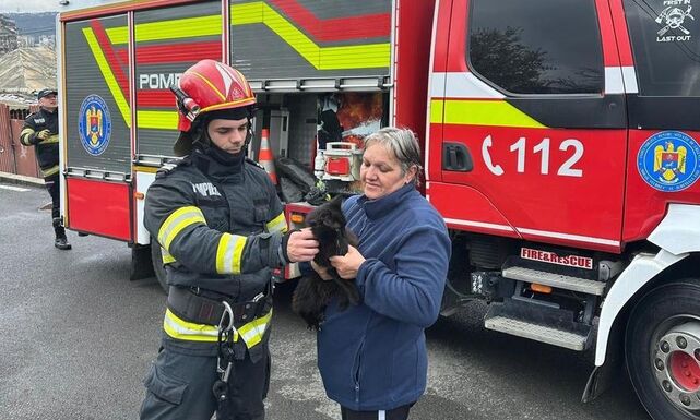 Fenyőfa hegyén rekedt cicát mentettek a tűzoltók