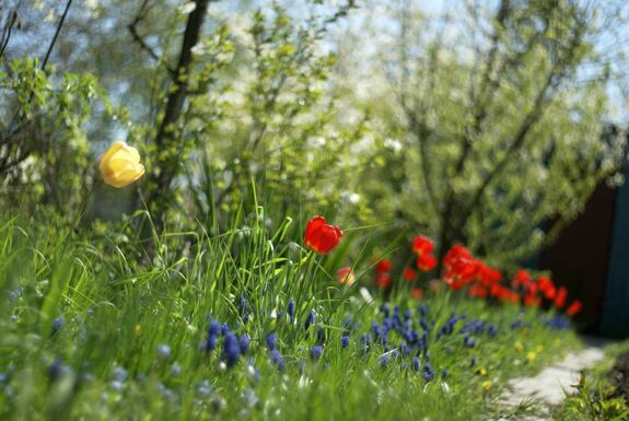 Érkezik a felmelegedés: enyhébb és naposabb hetek Erdélyben és az ország nyugati felén