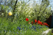 Érkezik a felmelegedés: enyhébb és naposabb hetek Erdélyben és az ország nyugati felén