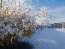 FRISSÍTVE – Lehavazott Székelyföldön (VIDEÓ) 