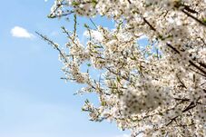 Fagyos éjszaka után jön a fordulat: 20 fok feletti meleg is lehet