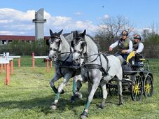 Megkezdődött az országos kettesfogathajtó bajnokság (VIDEÓ)