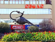 Negyedszázados lett a sepsiszentgyörgyi „Süsü” – Nevették, bírálták, megszerették