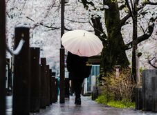 Hűvös és esős idő jöhet május elején – Csak később tér vissza a meleg