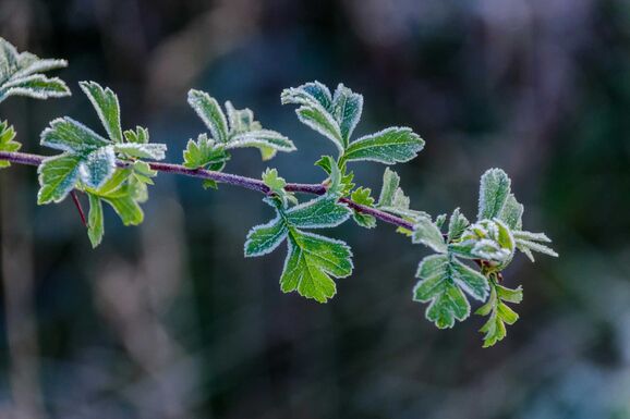 Áprilisi ítéletidő: szélvihar, dér és havazás jön – Péntekig marad a hideg