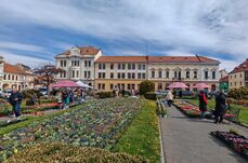 Virágba borult Kézdivásárhely főtere – Zajlik a tavaszi Virágvarázs (VIDEÓ)