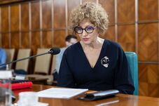 Gheorghiu szerint hazugságra épül a bizalmatlansági indítvány