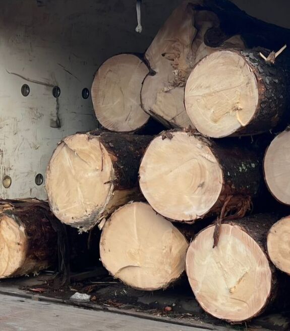 Lopott fát szállított egy Maros megyei férfi Borszék területén