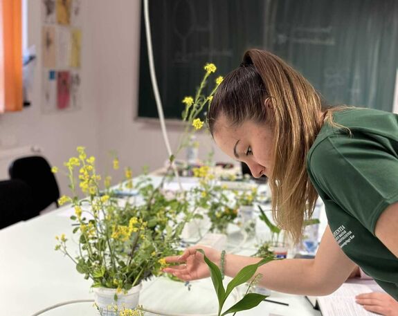 Nyílt napokat tart a Sapientia EMTE négy kara