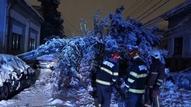 Ítéletidő: Országszerte fák dőltek ki, gépkocsik rekedtek a hó alatt (VIDEÓ)