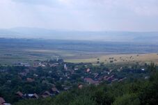 Az ozsdolaiak kálváriája: 2500 hektár erdőt perelt el az emberektől az állam