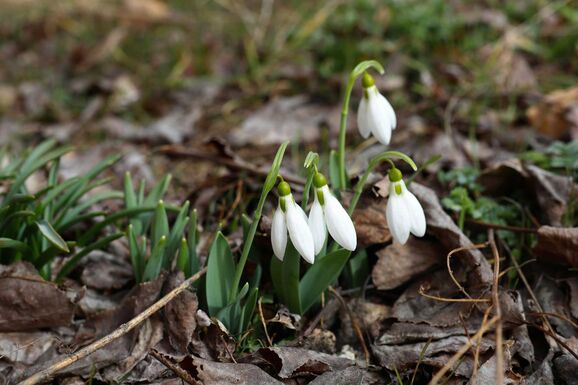 Kéthetes előrejelzés: a sokéves átlagnál melegebb idő várható 