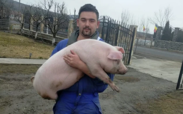 Maros megye: ittasan menekült a rendőrök elől Mezőpagocsa alpolgármestere