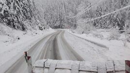 Több mint tízezren még mindig áram nélkül Fehér megyében a szélsőséges időjárás miatt