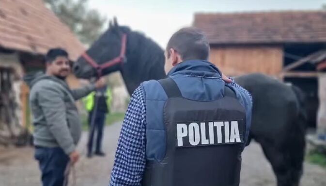 Erősödő fellépés az állatkínzás ellen: 440 esetet tártak fel a rendőrök Hargita megyében