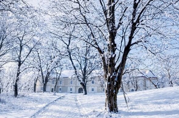 A magyar kultúra napja a gyalui várkastélyban