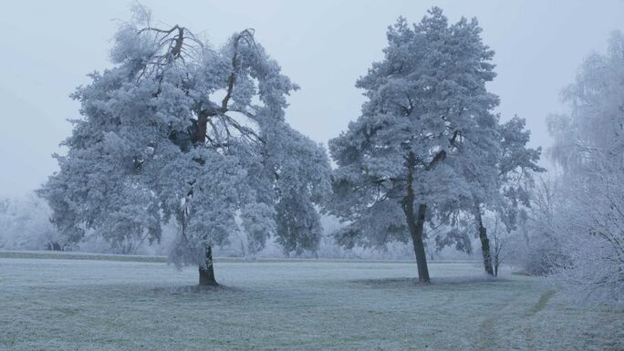 Farkasordító hideg várható, jövő héten is marad a kemény fagy