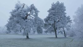 Farkasordító hideg várható, jövő héten is marad a kemény fagy
