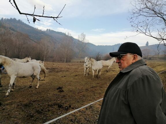 „A világot szebbnek lehet látni a ló két füle között” – Beszélgetés Romfeld János tenyésztővel