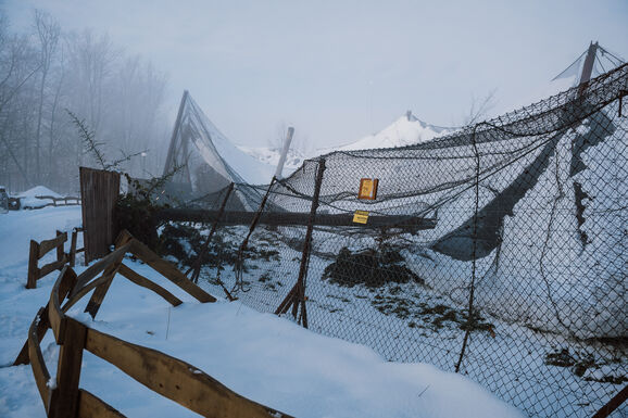 A hó súlya alatt beszakadt a Zöld Ház teteje a marosvásárhelyi állatkertben (VIDEÓ)