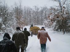 Kihívás a hó miatt a vadon élő állatok kiegészítő táplálása – Szekérrel juttatják ki az eledelt