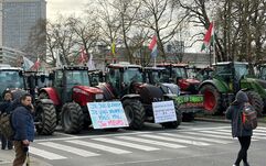 Brüsszelben tüntetnek kedden a romániai gazdák