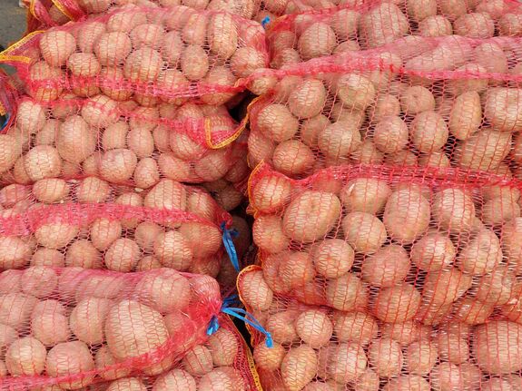 Lehet pályázni – Zöldség- és burgonyatermesztők kérhetnek támogatást