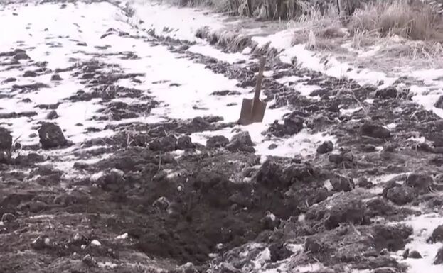 FRISSÍTVE – Temes megyei gyilkosság: ezrek kérnek petícióban törvénymódosítást, miután a 13 éves tettes szabadon távozhat