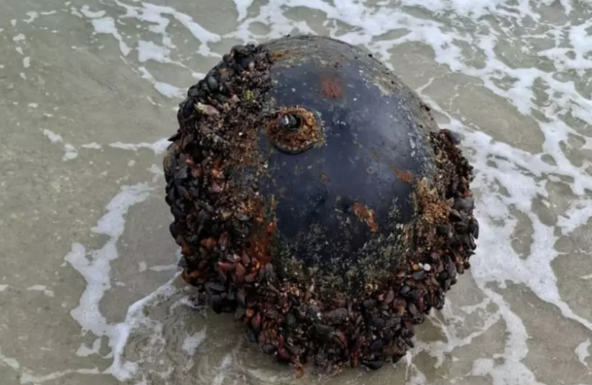 FRISSÍTVE – Konstanca megye: tengeri aknát sodort partra a víz