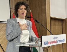 A határon túli magyarok szavazati jogának megszüntetését javasolja Dobrev Klára