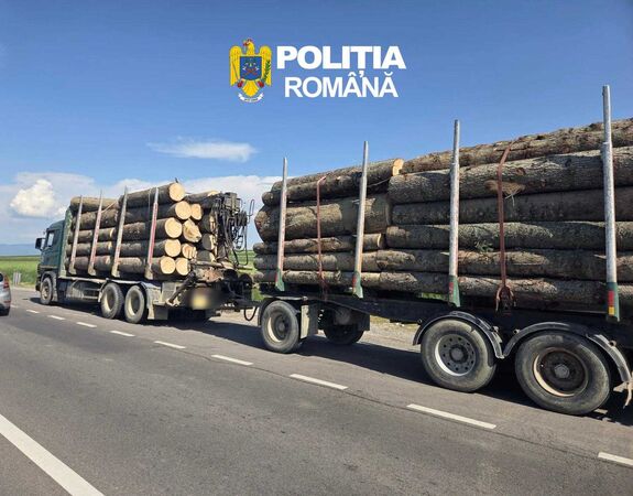 Nem engedték lemérni a farakományt: 120 ezer lejre bírságolt a háromszéki rendőrség