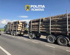 Nem engedték lemérni a farakományt: 120 ezer lejre bírságolt a háromszéki rendőrség