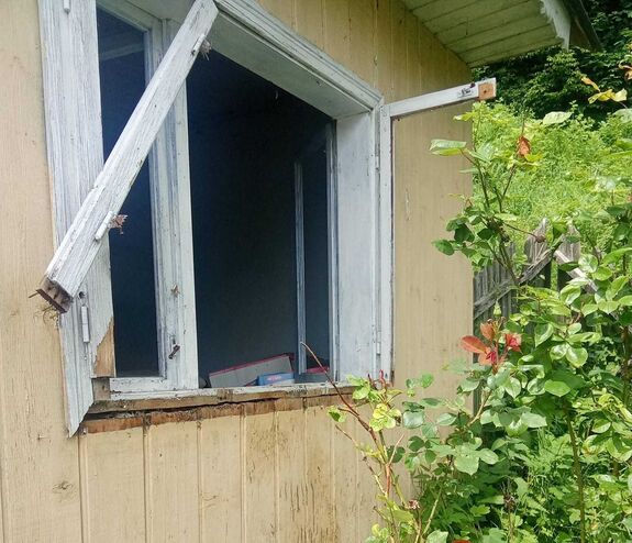 Medve terrorizálja egy falu lakóit: nyolc házba tört be, még a hűtőt is kifosztotta
