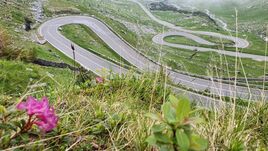 Megnyílt a Transzfogarasi út – Figyelmeztetnek a medveveszélyre (VIDEÓ)