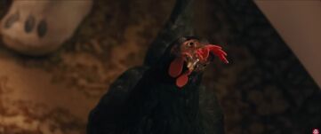  A Tyúk nem a tyúkokról, hanem az emberekről szól – Pálfi György filmrendezővel beszélgettünk