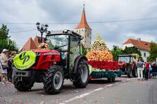 Huszonharmadik alkalommal szerveznek Rózsanapokat Csombordon